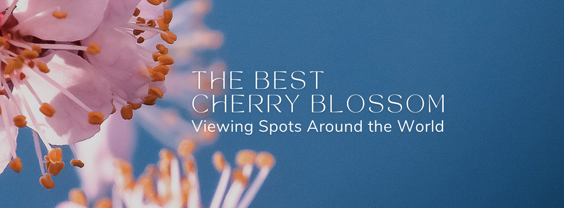 The Best Cherry Blossom Viewing Spots Around the World